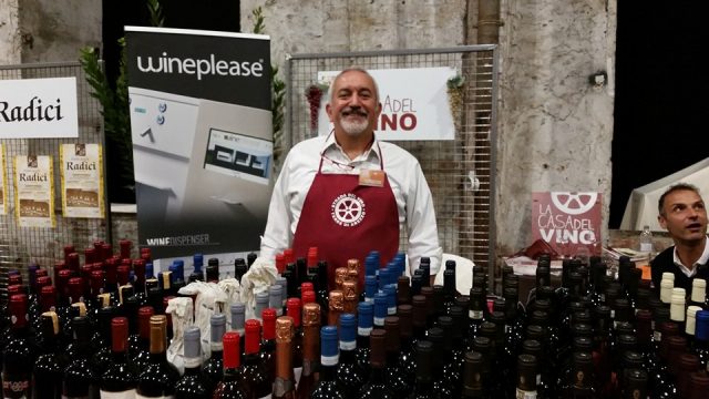 food-wine-in-progress-vino