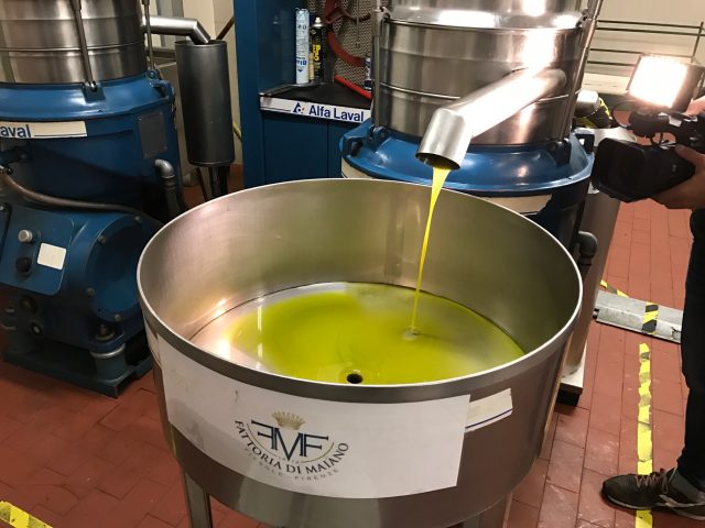 olio-maiano-firenze