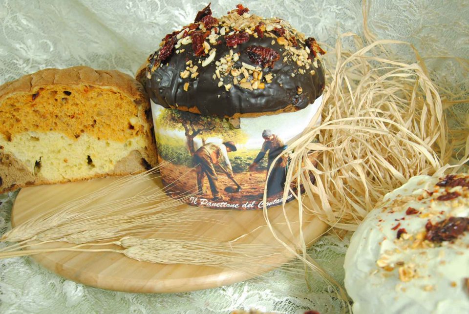 panettone-teggiano