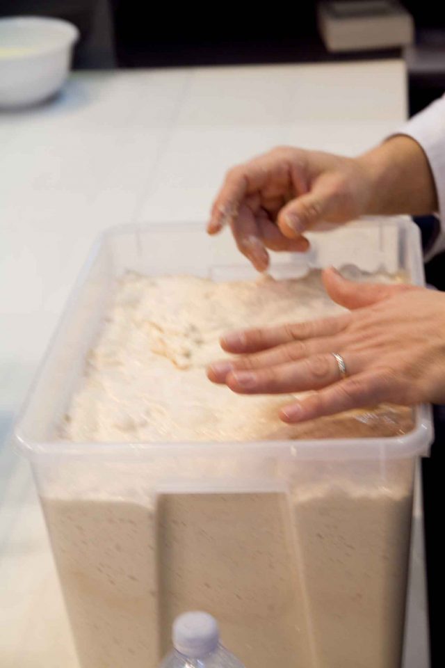 Biga per pizza recipiente