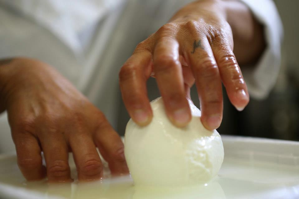 mozzarella Campo Felice mano