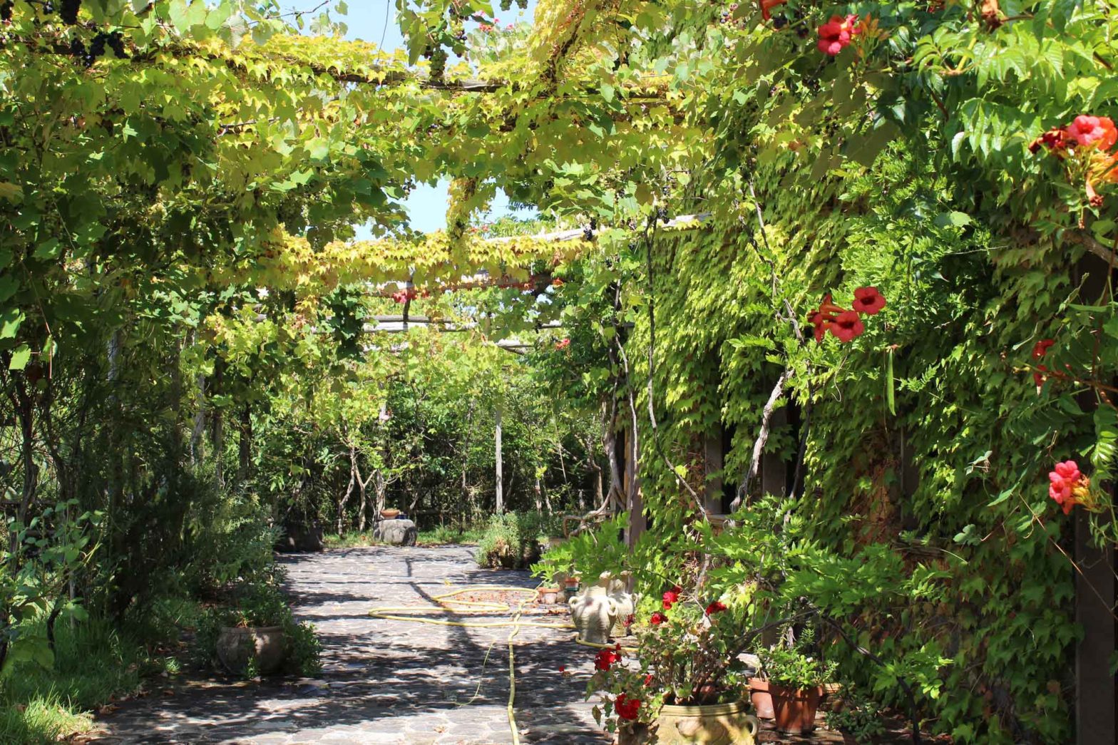 agriturismo