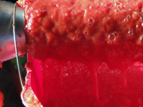 Passata di pomodoro barattolo