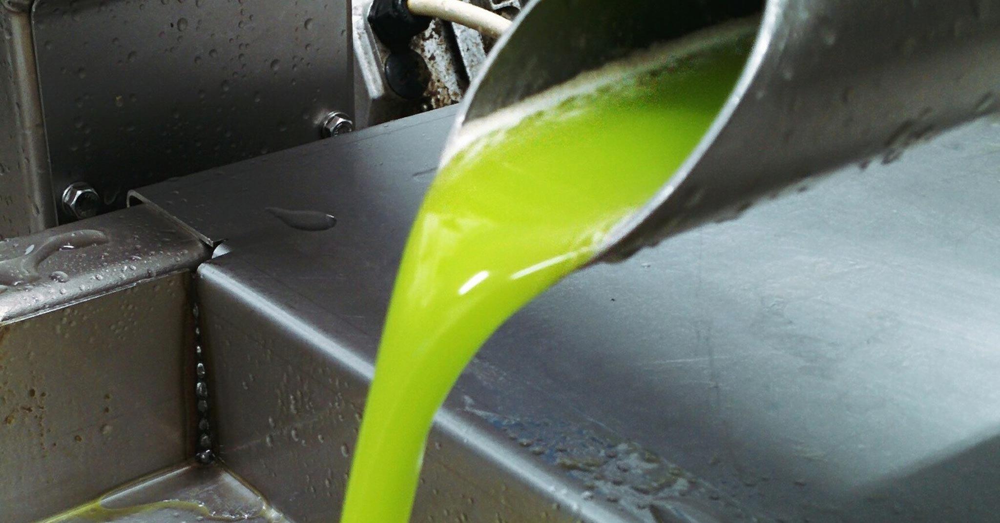 olio extravergine di oliva frantoio