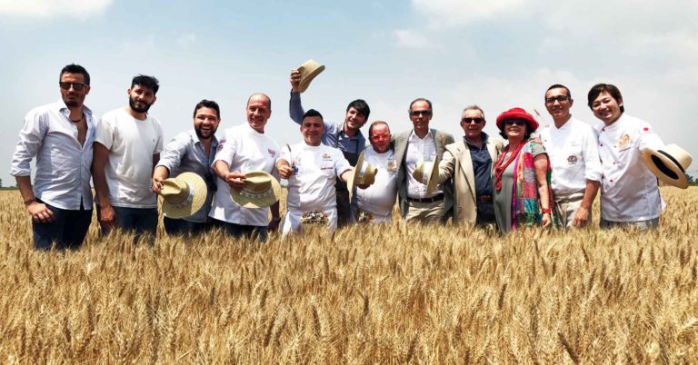 Caserta. Venite alla festa del Grano Nostrum e della pizza
