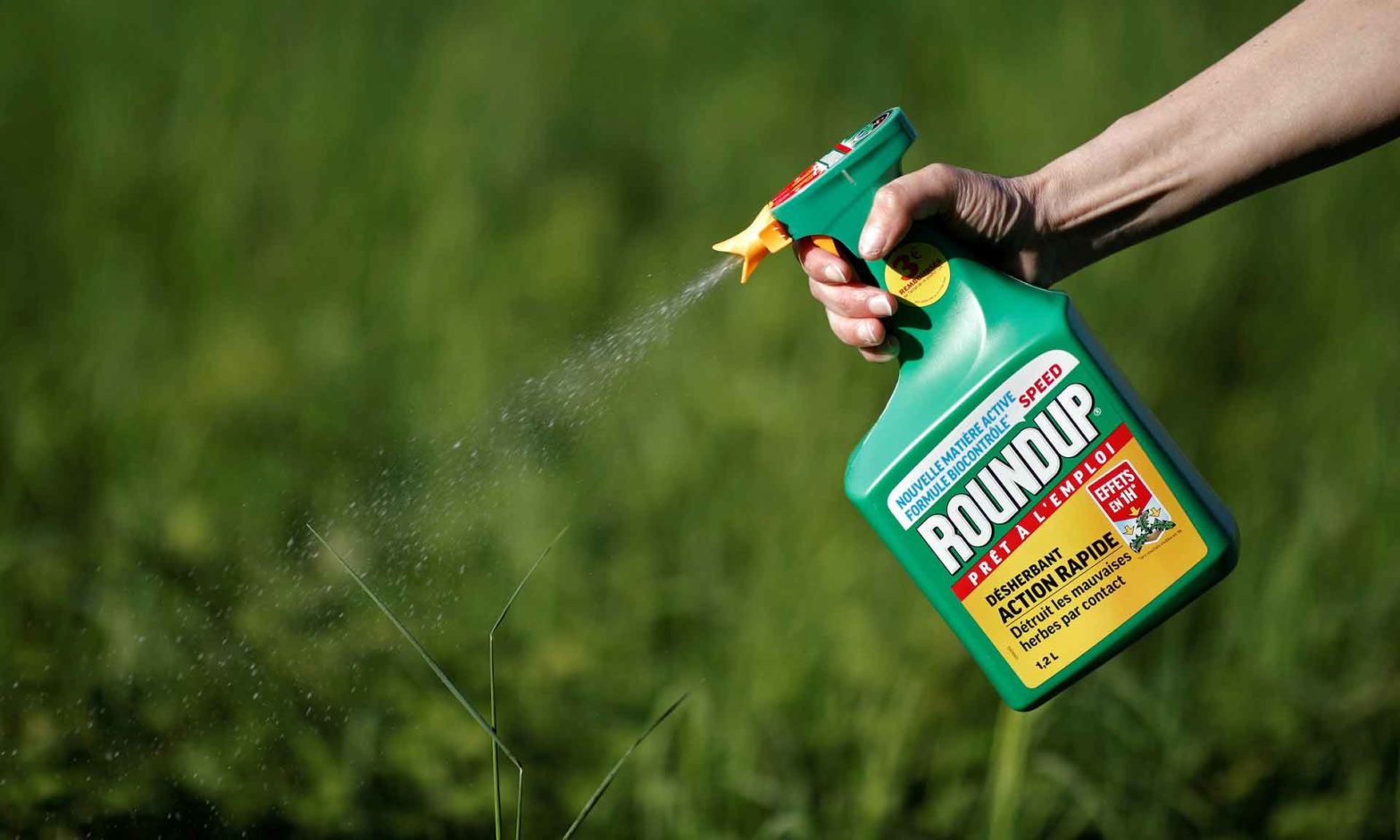 Glifosato Monsanto