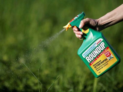 Glifosato Monsanto