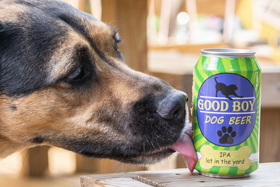 domestic Specificity Lodge La birra per cani sta facendo impazzire gli Americani