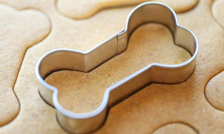 Roma. Bravo Cookies, pasticceria artigianale per cani che apre a Monteverde