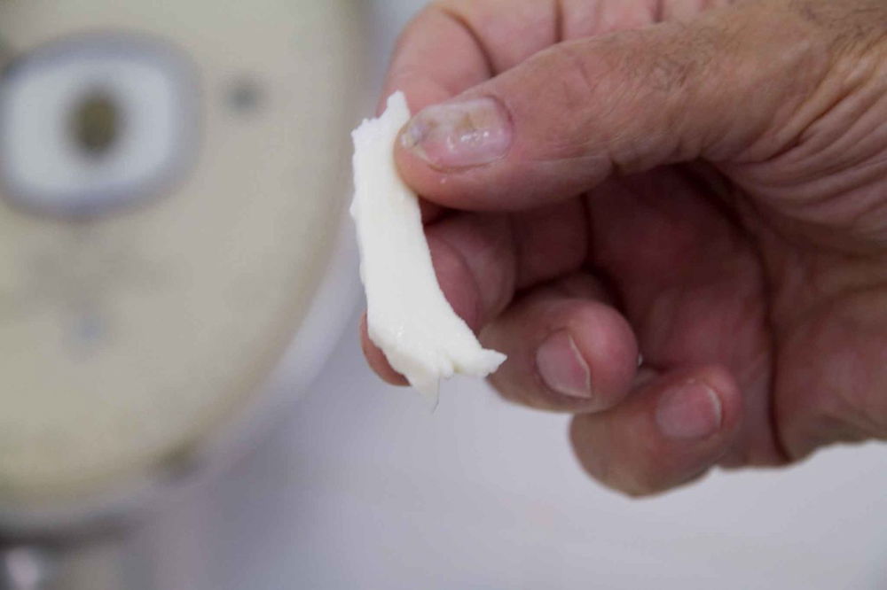 Pizza napoletana a ruota di carro fatta in casa Fiordilatte