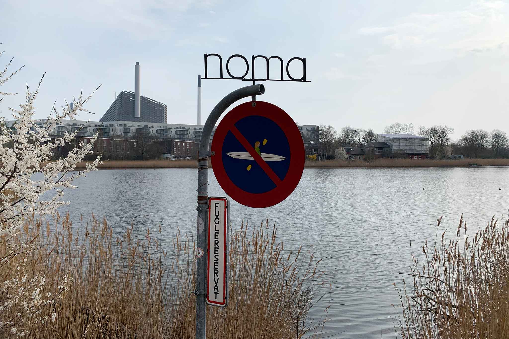 Noma ristorante Copenaghen