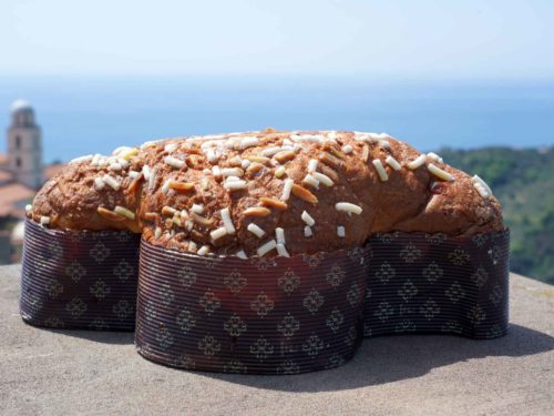 Colomba