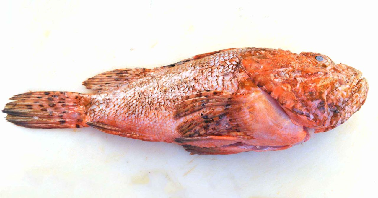 Pesce d’aprile. I migliori a tema gastronomico