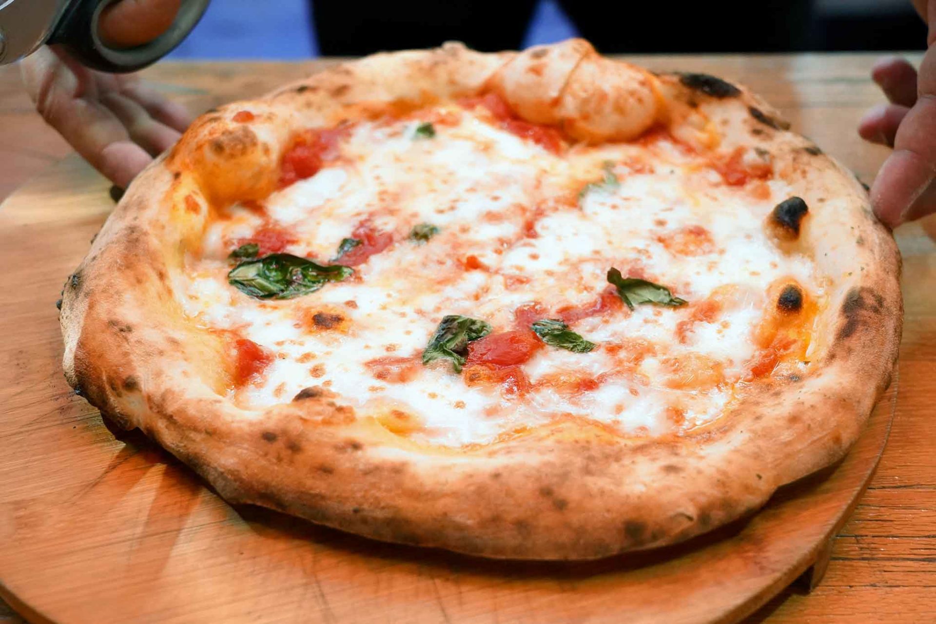 Pizza Napolin - Rezepte Suchen