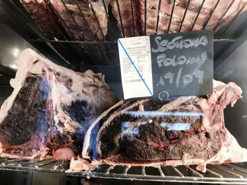 Carnivori falsi miti