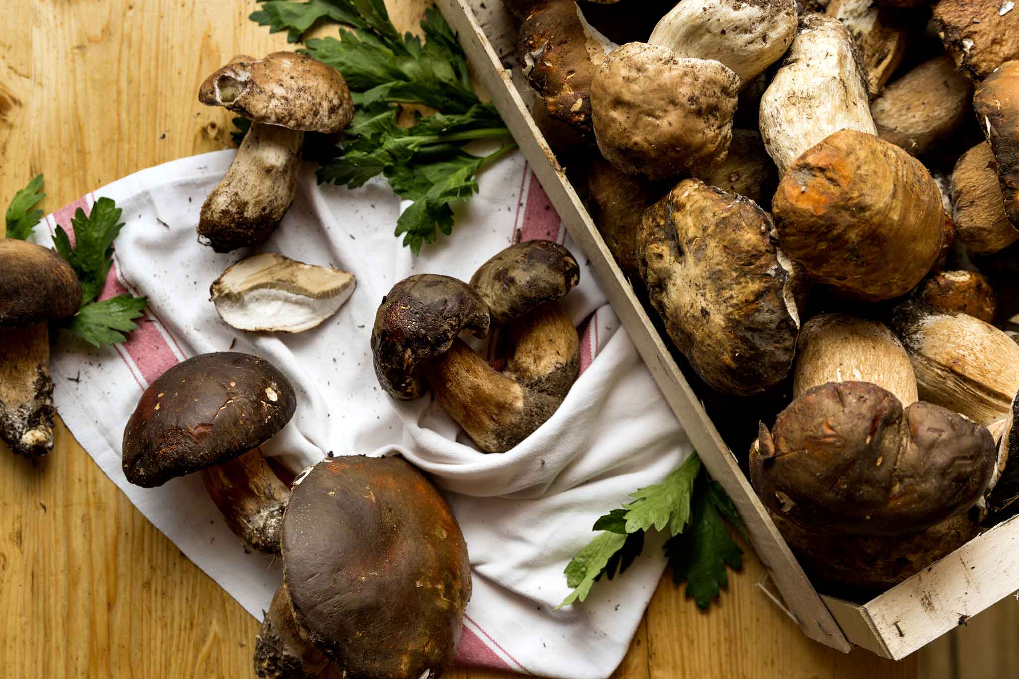 Funghi porcini cassetta