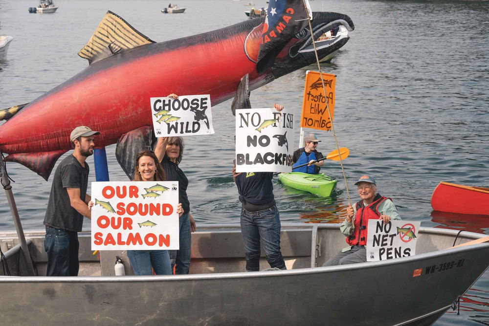 Artifishal, il film che spiega i pericoli del salmone di allevamento