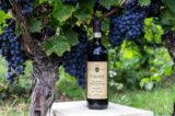 nobile montepulciano carpineto
