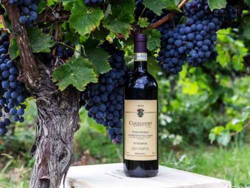 nobile montepulciano carpineto