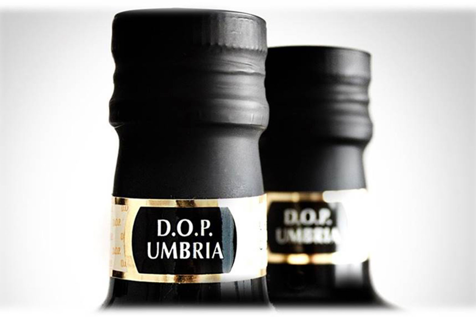 Olio EVO Umbria DOP