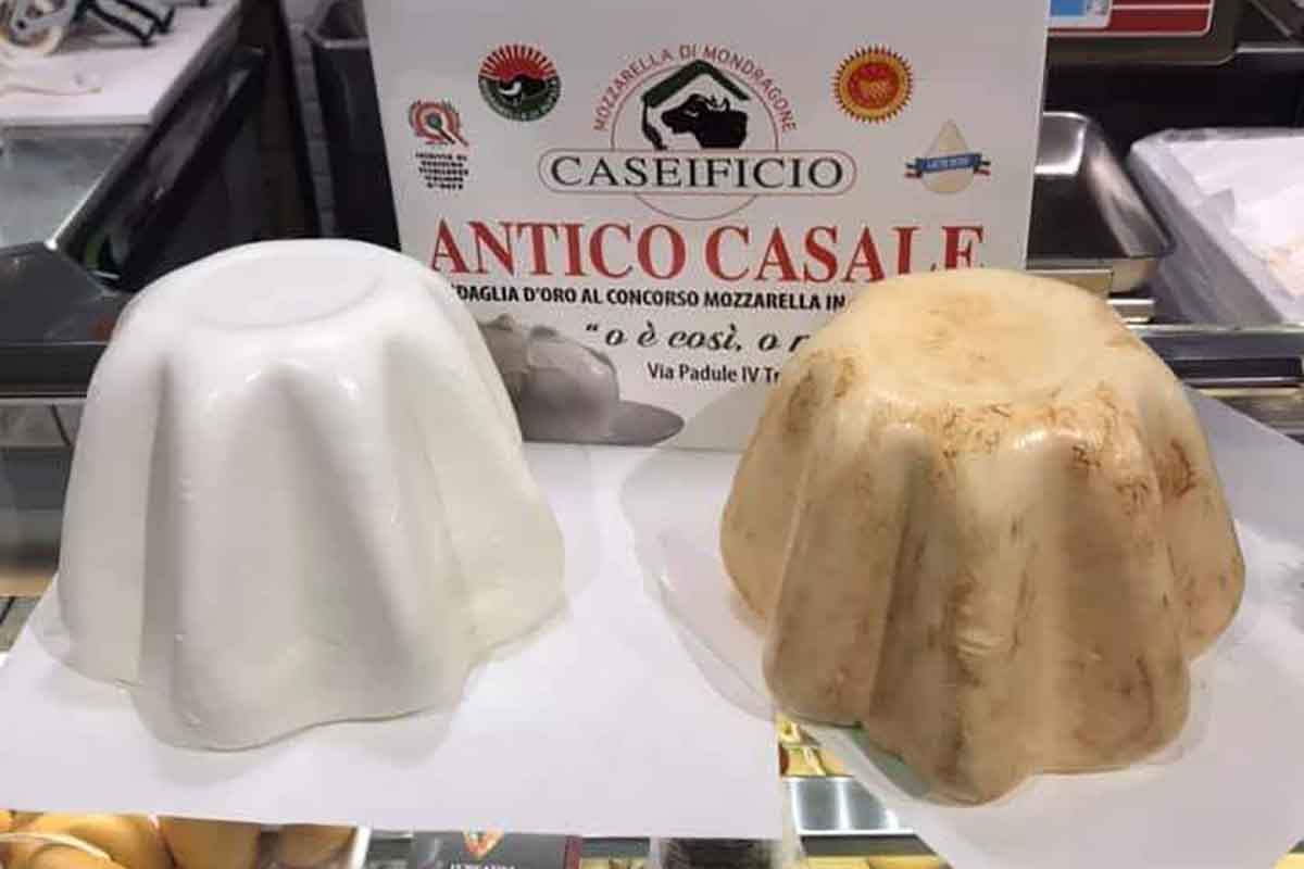 Il Pandoro Di Mozzarella Di Bufala Si Compra Al Caseificio Antico Casale Di Mondragone