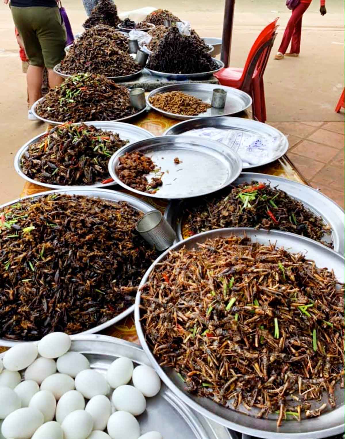 Cambogia mercato dei ragni a Skoun