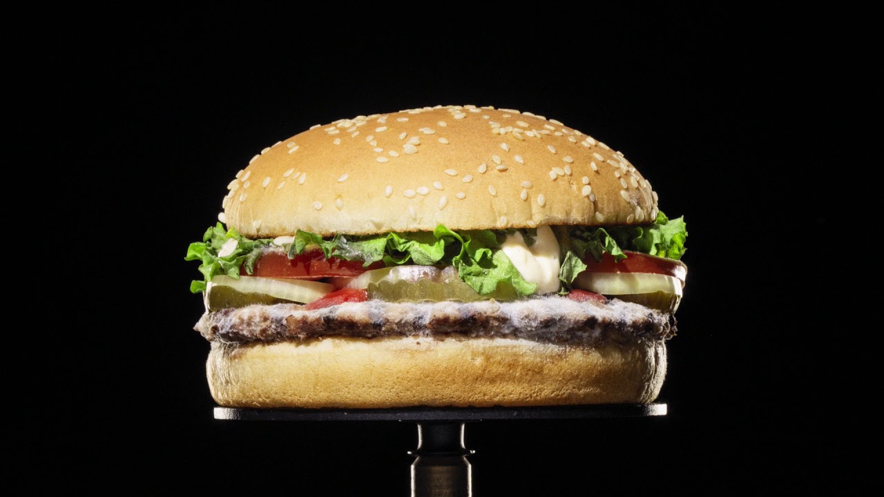 Il time-lapse di un hamburger ammuffito chiarisce il significato “senza conservanti”