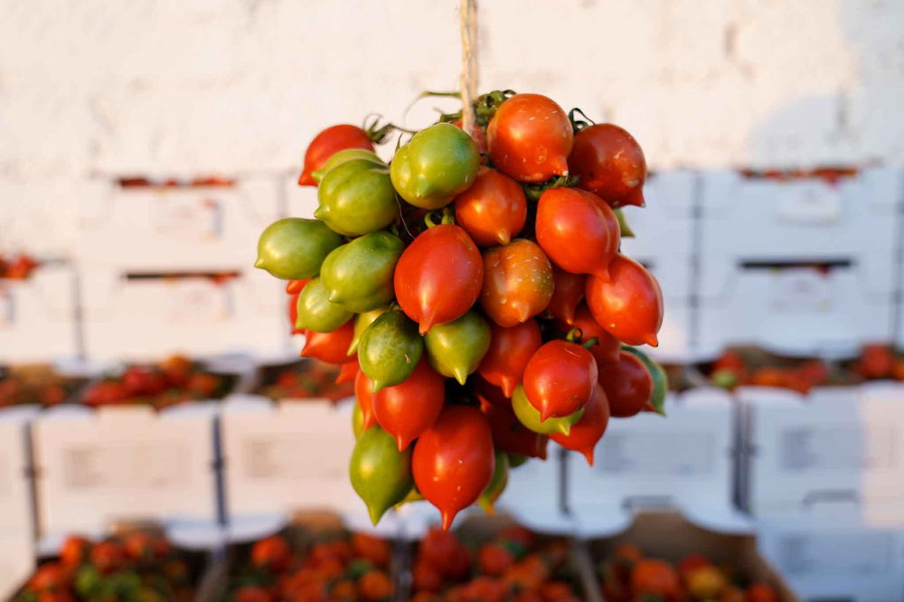 Autoproduzione: come fare i pomodori secchi – Naturalentamente