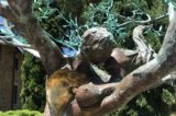 Castelfalfi scultura ulivo Andrea Roggi olio