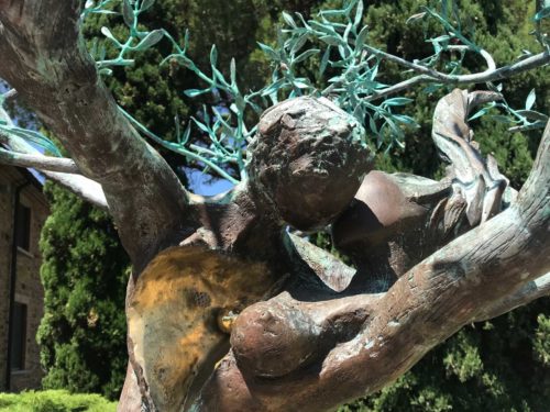 Castelfalfi scultura ulivo Andrea Roggi olio