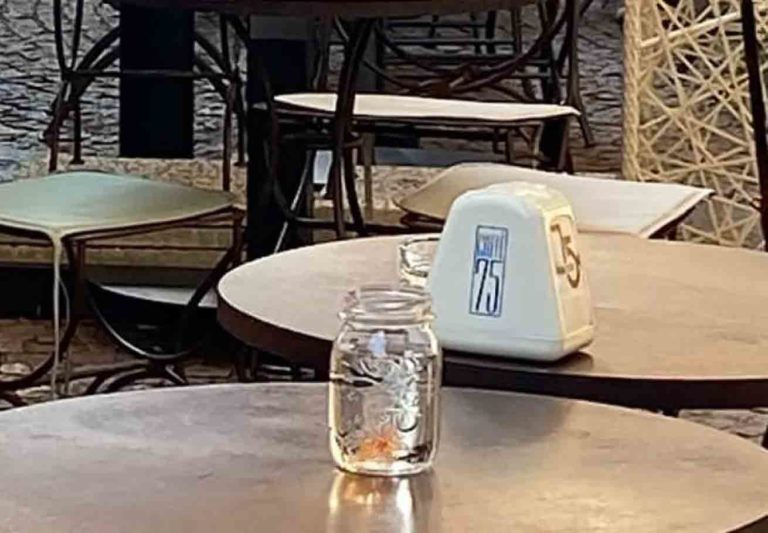 Varese: no, i pesci rossi come centrotavola del bar non si possono usare
