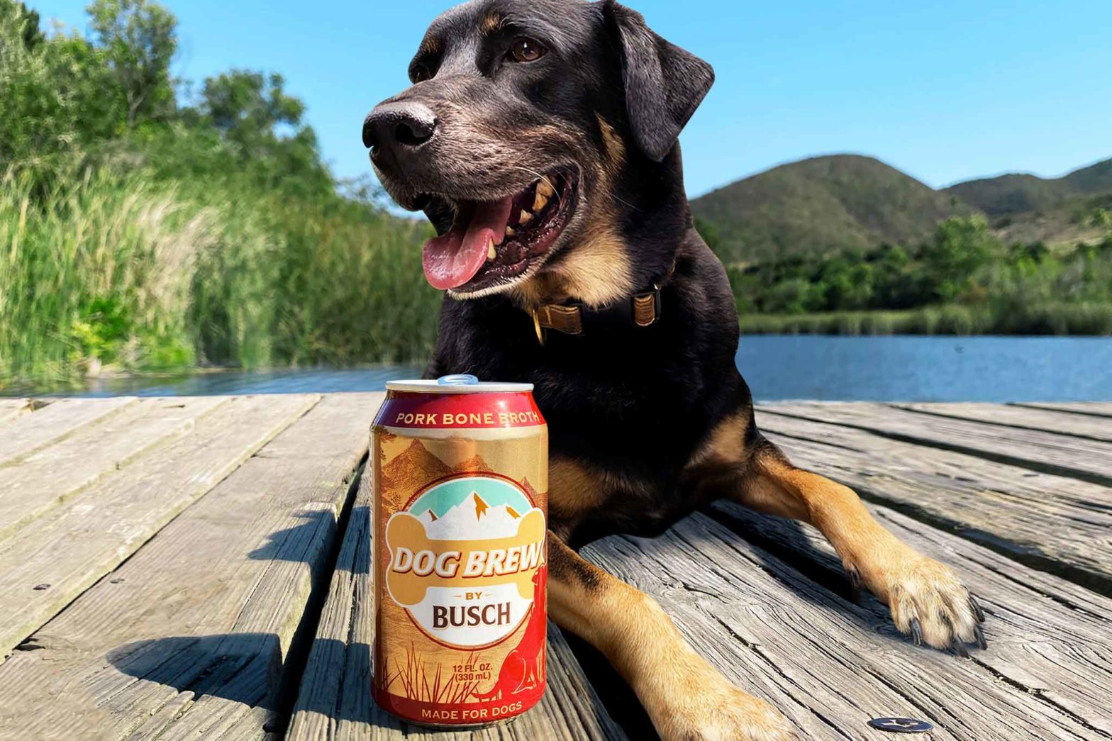 Birra per cani