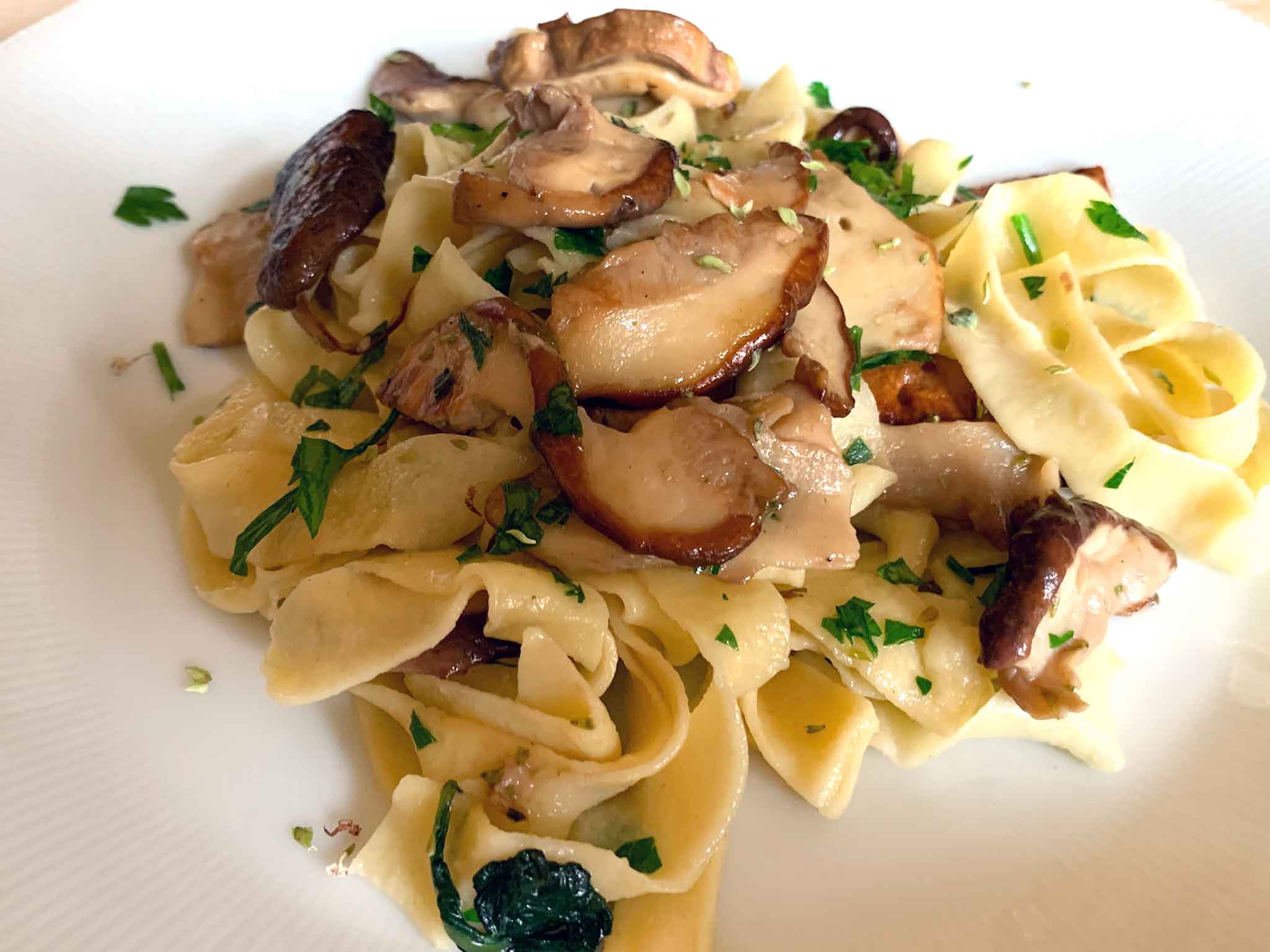 tagliatelle ai funghi porcini