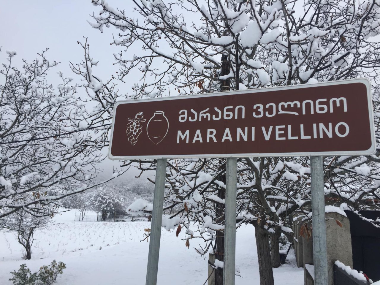  Cantina Vellino en Georgia