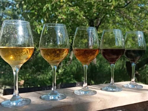 orange wine georgia