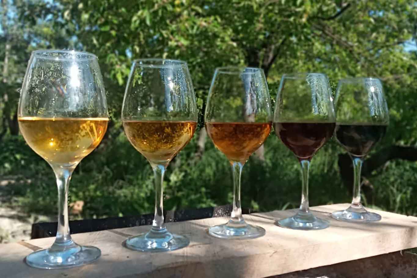 orange wine georgia