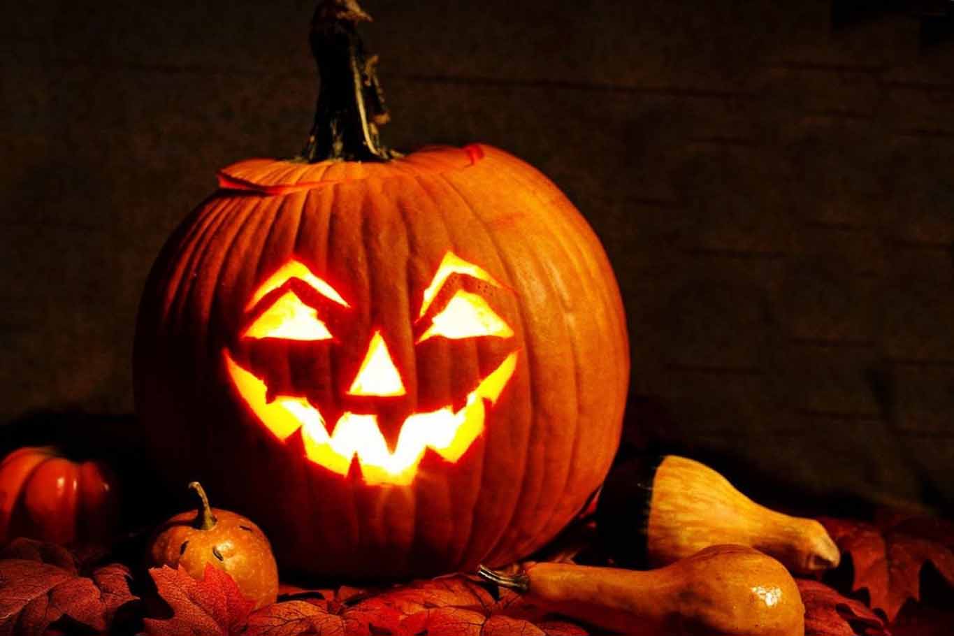 zucca halloween
