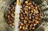 castagne
