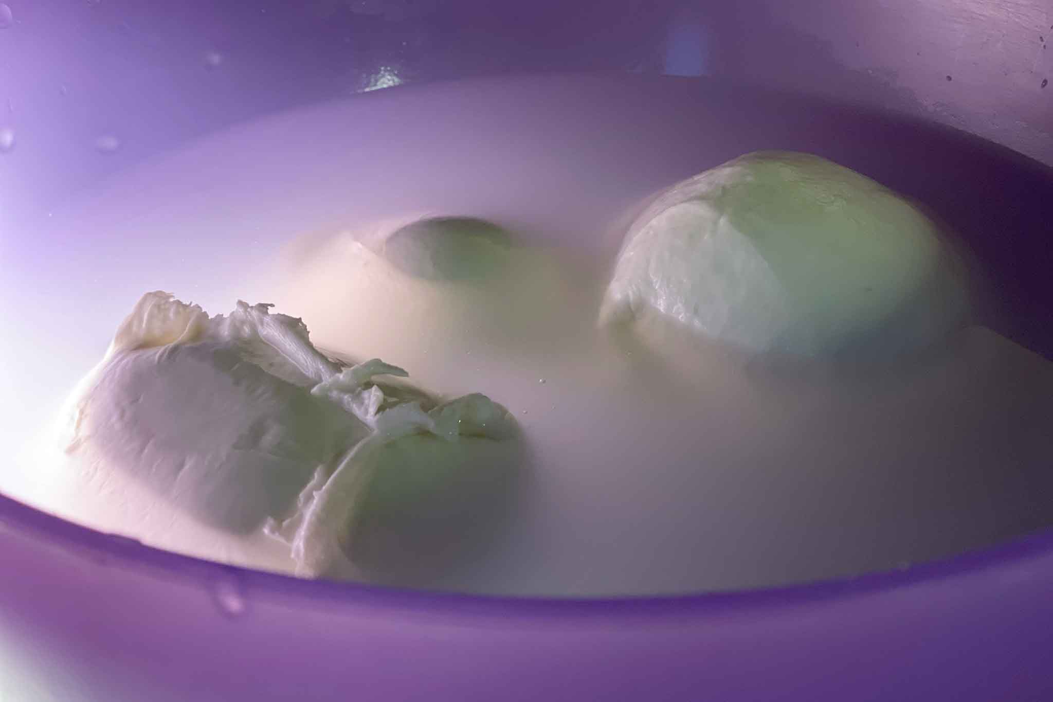 mozzarella fresca o congelata