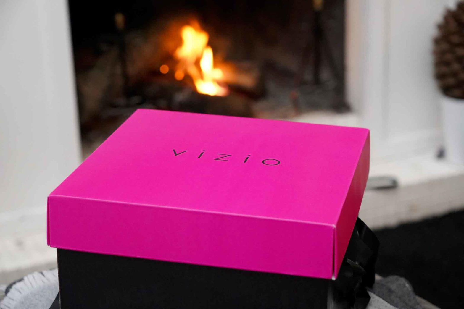 panettone Vizio