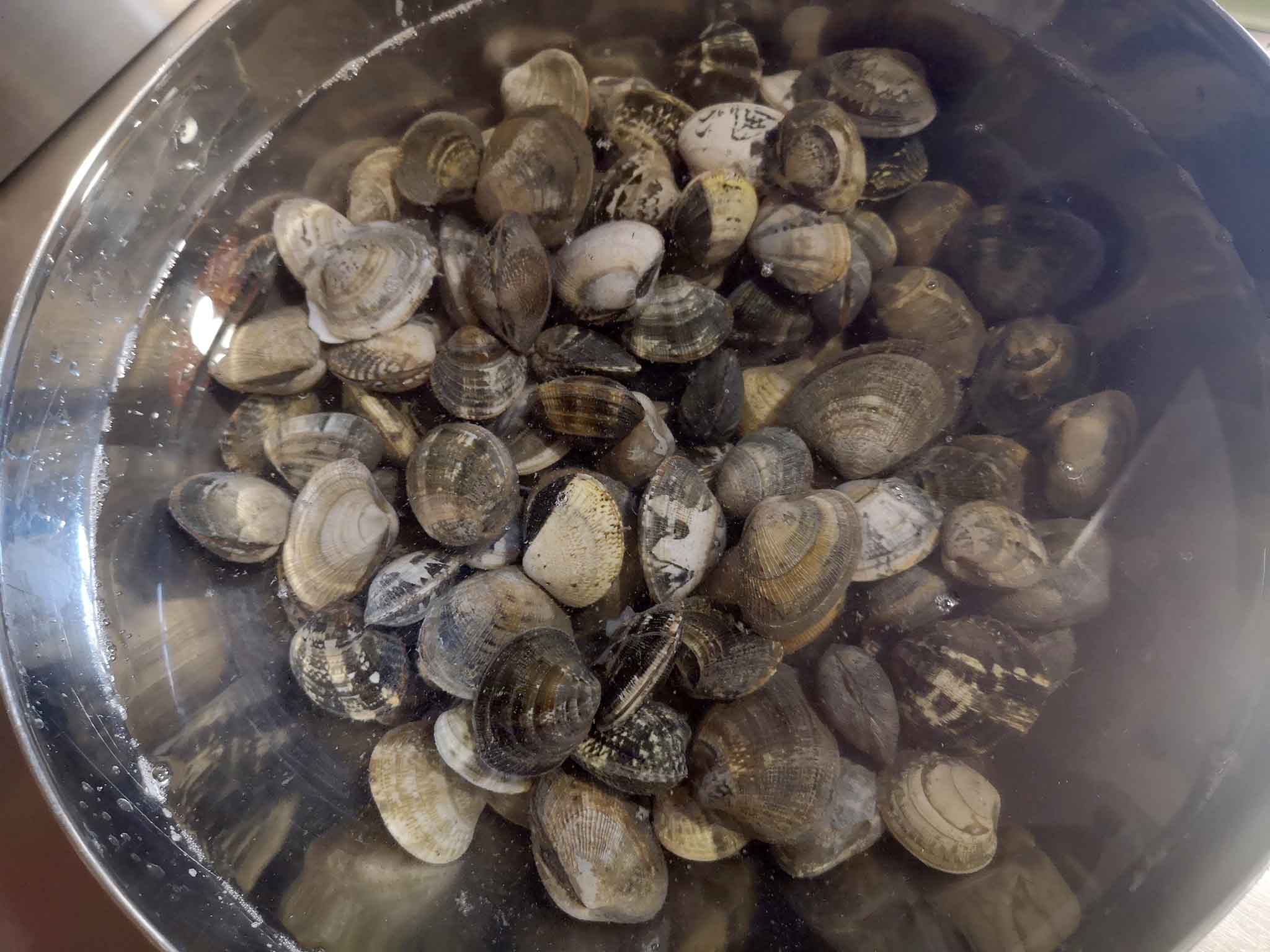 Per prima cosa lasciar spurgare le vongole in acqua fredda leggermente salata, quindi risciacquarle con cura.