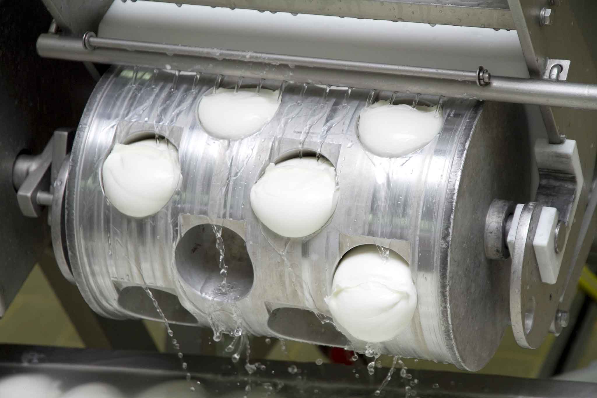 mozzarella di bufala congelata