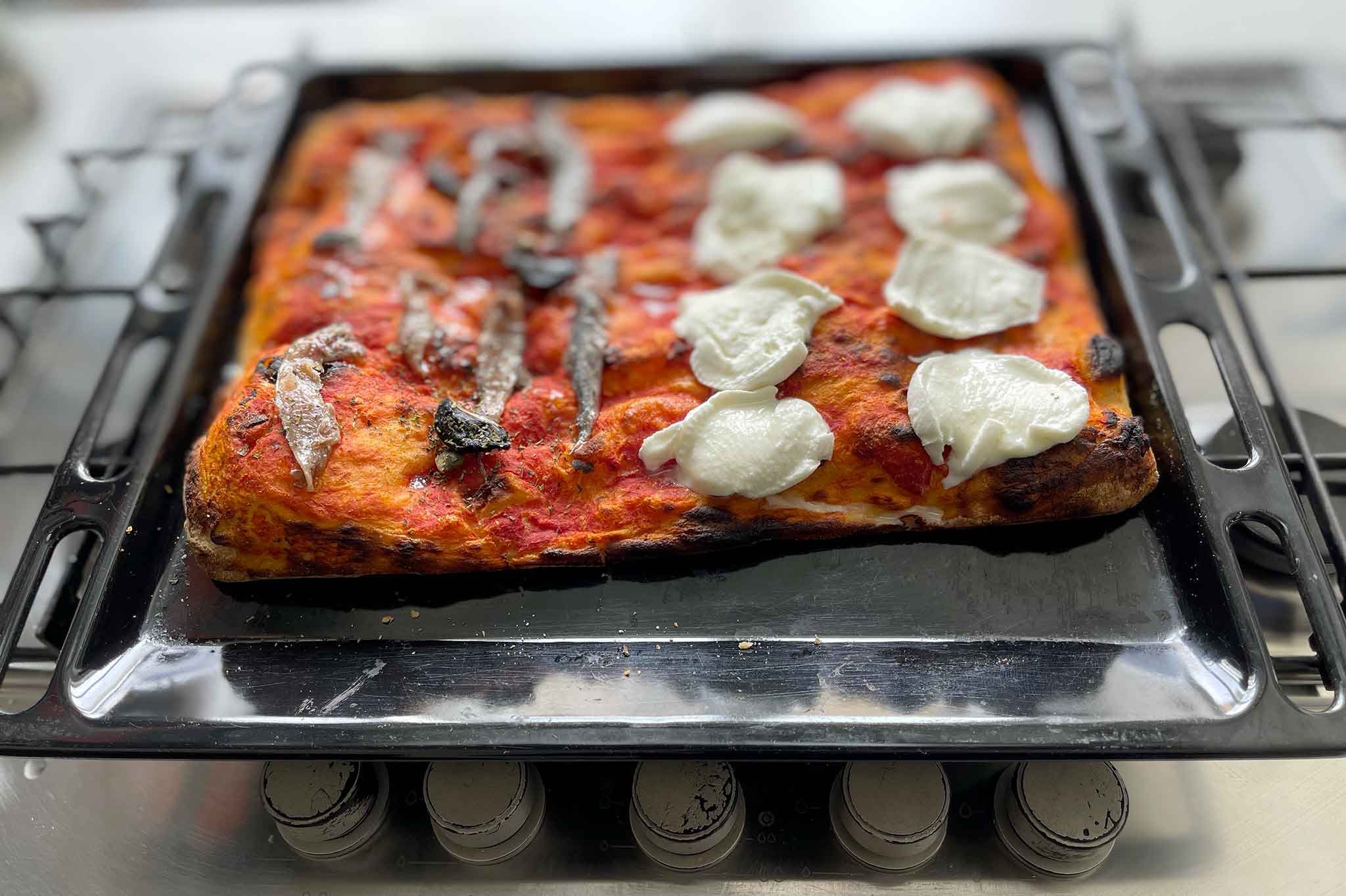 pizza in teglia Andrea Brunetti Lab alici e mozzarella