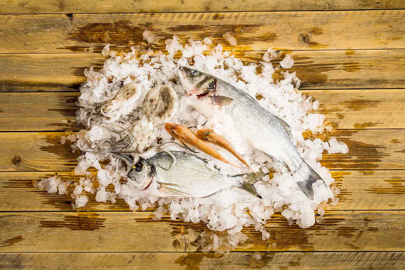 Orapesce consegna a domicilio pesce fresco