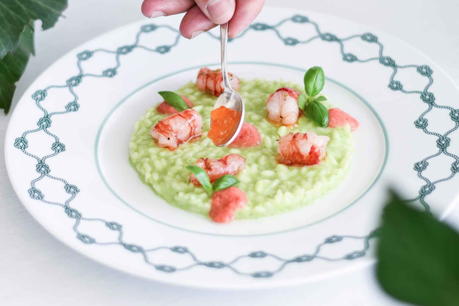 Risotto pesto gamberi da vittorio mare portofino