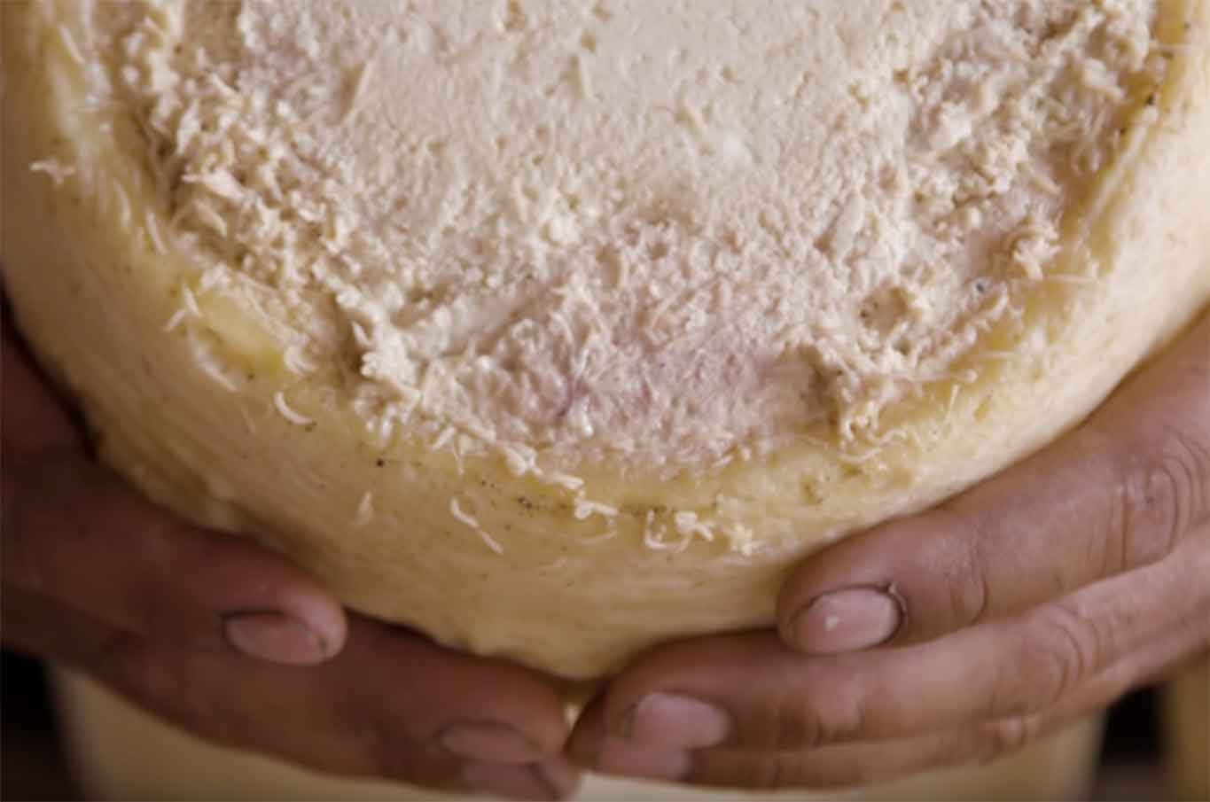 Casu marzu per i sardi il formaggio con i vermi vietato dalla legge è