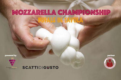 Campionato della Mozzarella di Bufala 2025: i 16 caseifici in finale