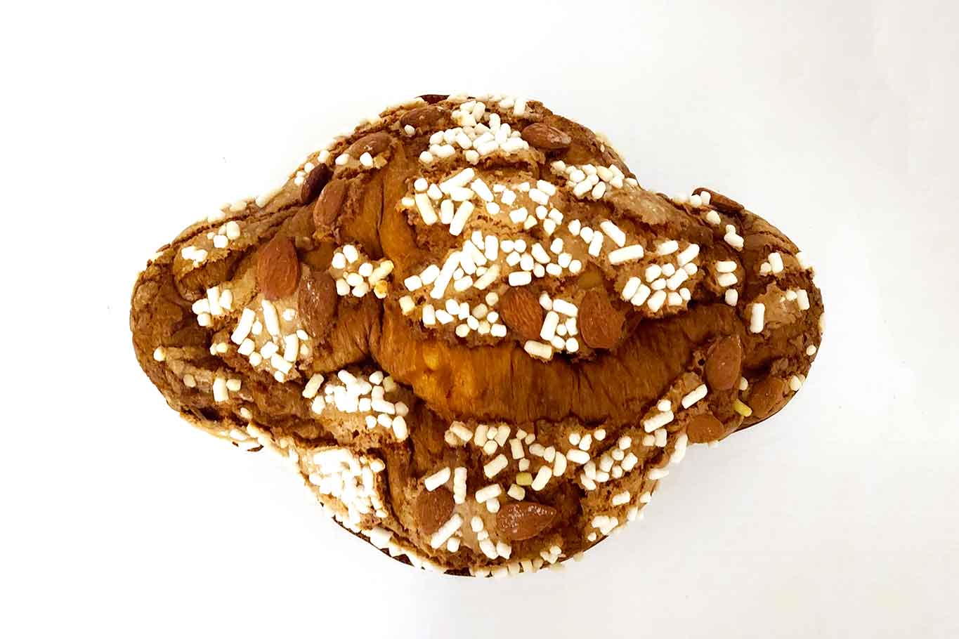 colomba de vivo