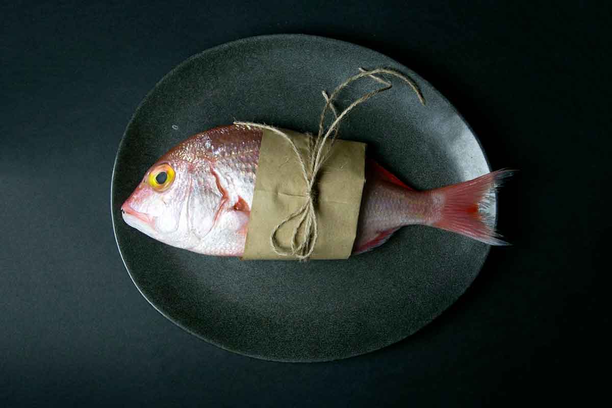 pesce fresco