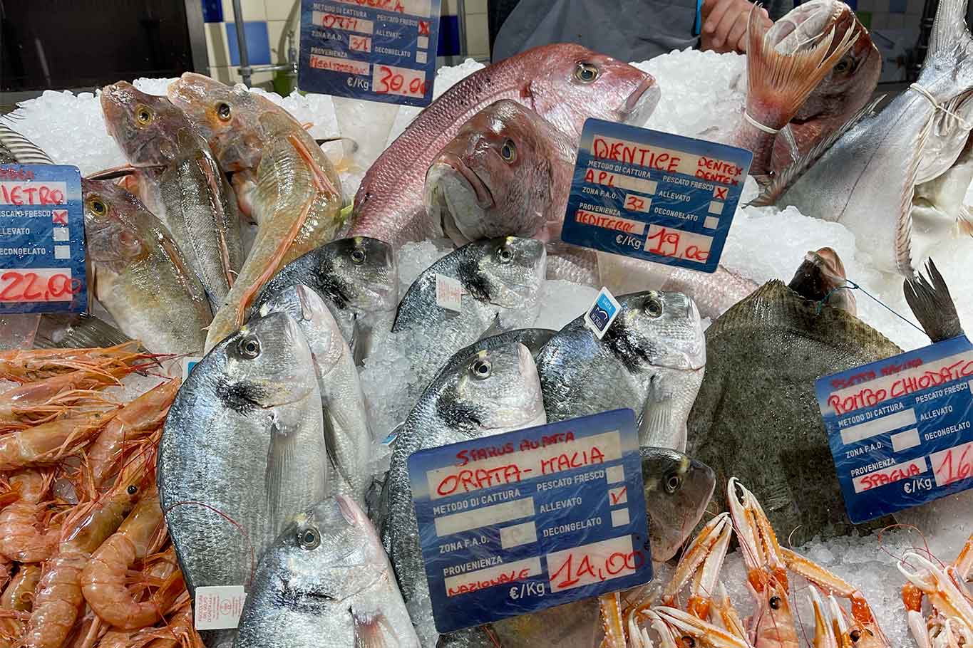 pesce e zone di pesca FAO